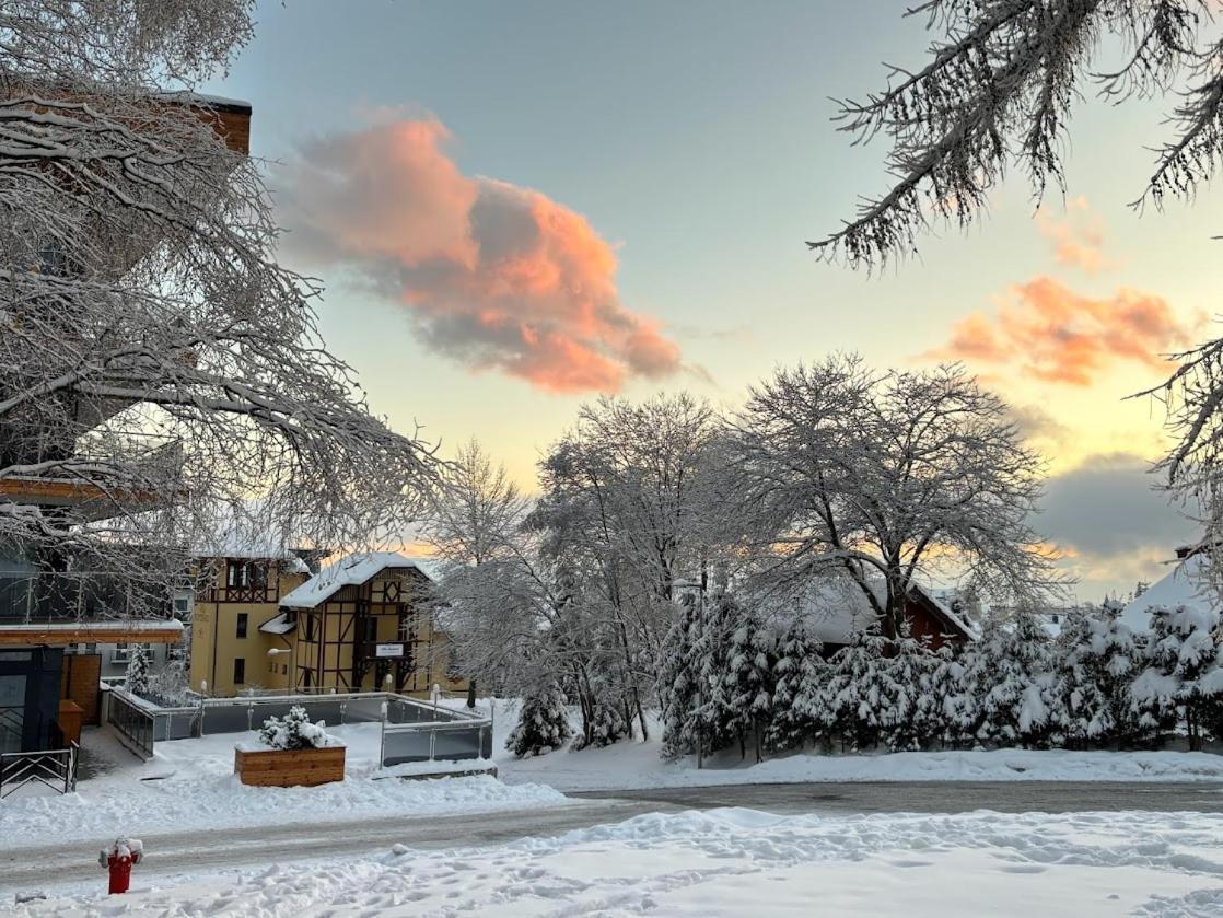 Studio A105 Stary Smokovec Hrebienok Vysoké Tatry المظهر الخارجي الصورة