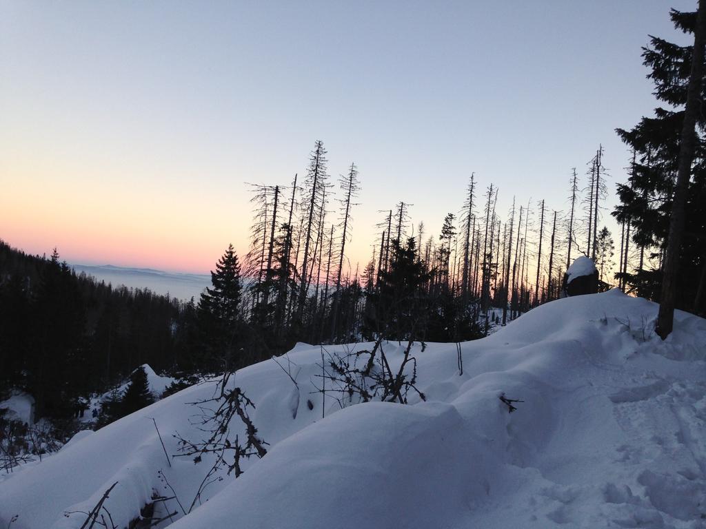 Studio A105 Stary Smokovec Hrebienok Vysoké Tatry المظهر الخارجي الصورة