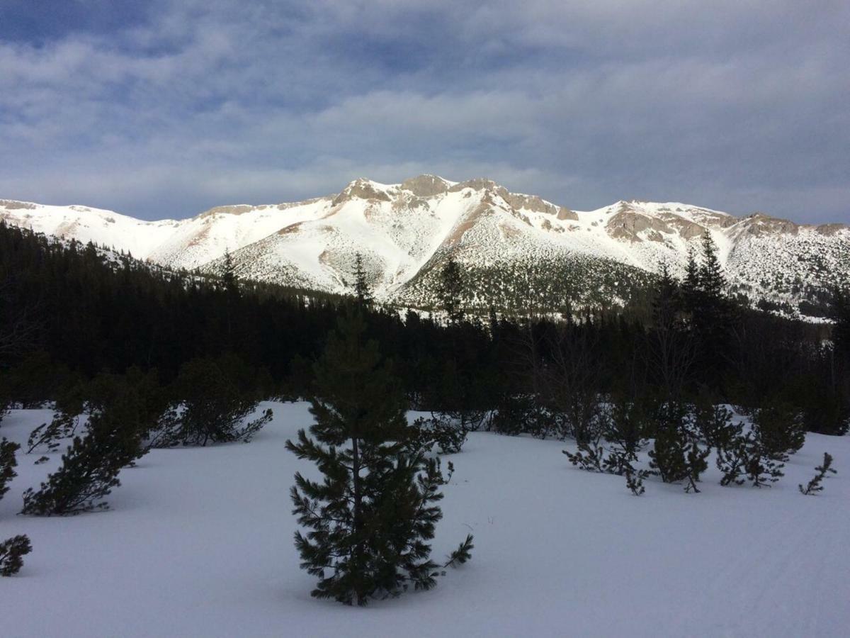 Studio A105 Stary Smokovec Hrebienok Vysoké Tatry المظهر الخارجي الصورة